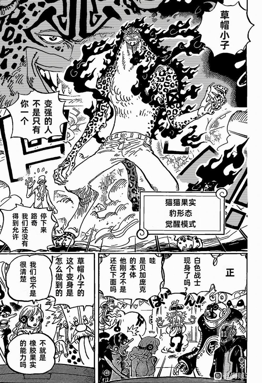 海賊王: 1069話 萬事皆有因 - 第7页