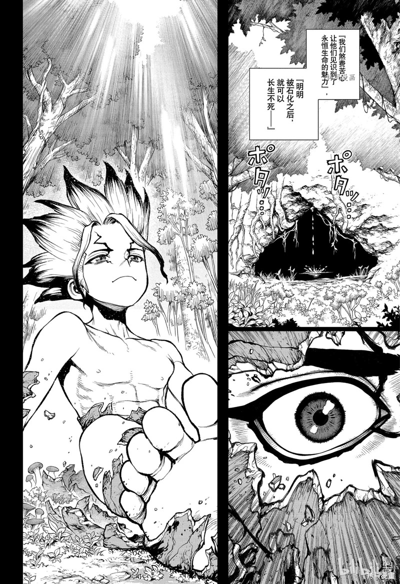 Dr.STONE 石紀元: 229話 - 第14页