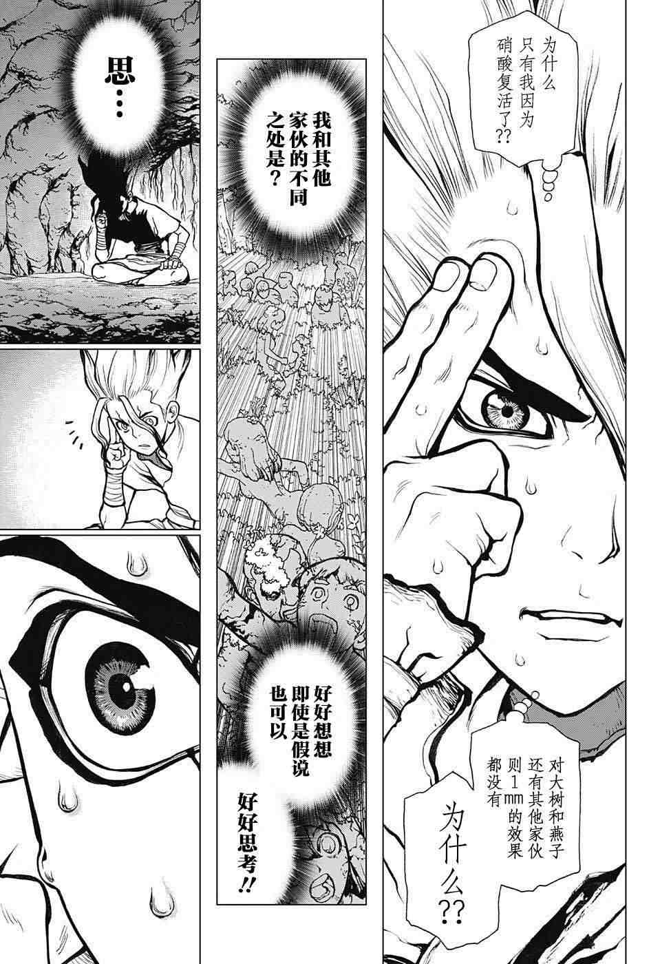 Dr.STONE 石紀元: 14話 - 第12页